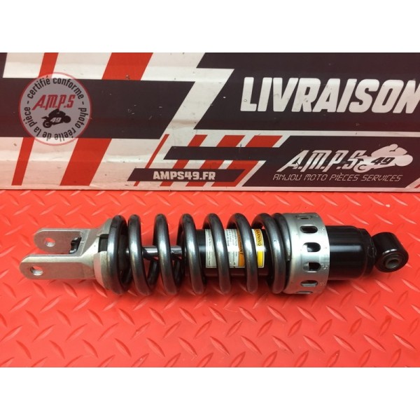 Amortisseur arrière