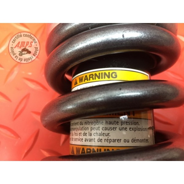 Amortisseur arrière 