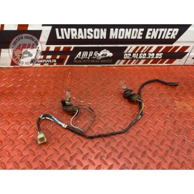 Faisceau électrique avant 