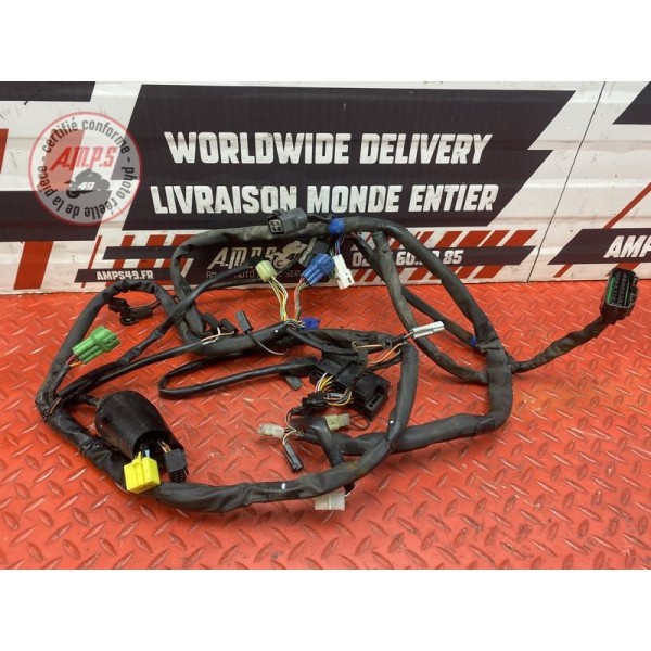 Faisceau électrique avant 