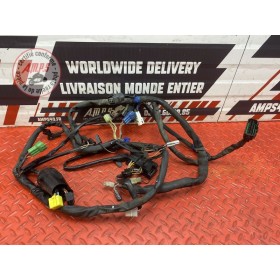 Faisceau électrique principale 