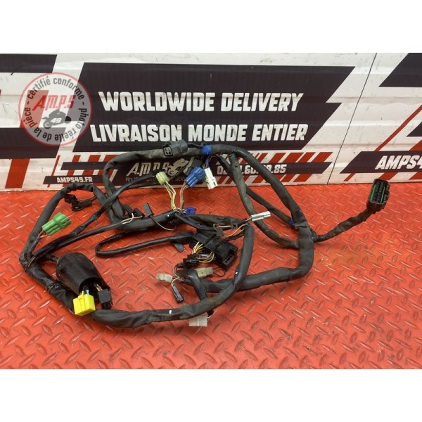 Faisceau électrique principale