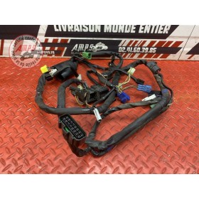 Faisceau électrique principale 