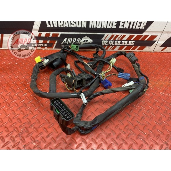 Faisceau électrique principale 