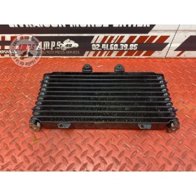 Radiateur d'huile + grille 