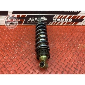 Amortisseur arrière 