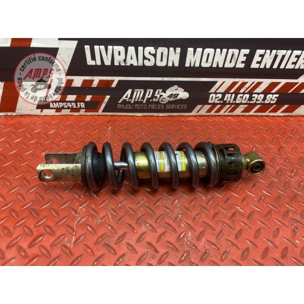 Amortisseur arrière 