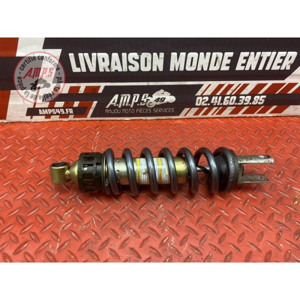 Amortisseur arrière 