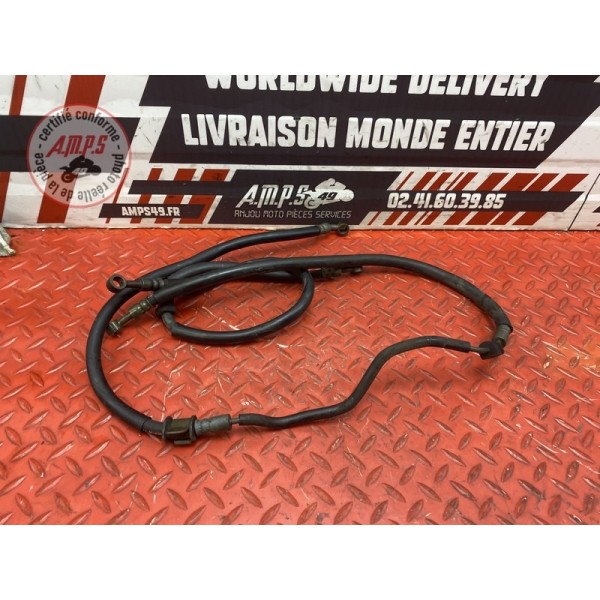 Kit de durite de frein AR 