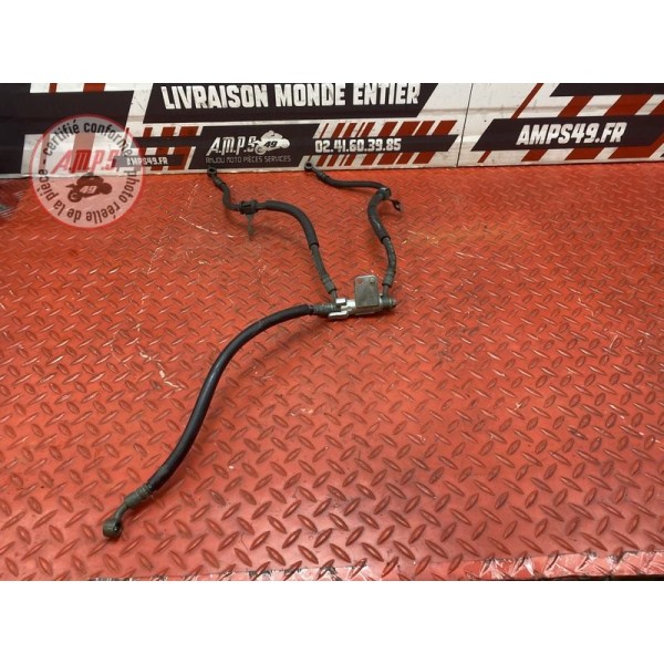 Kit de durite frein AV 