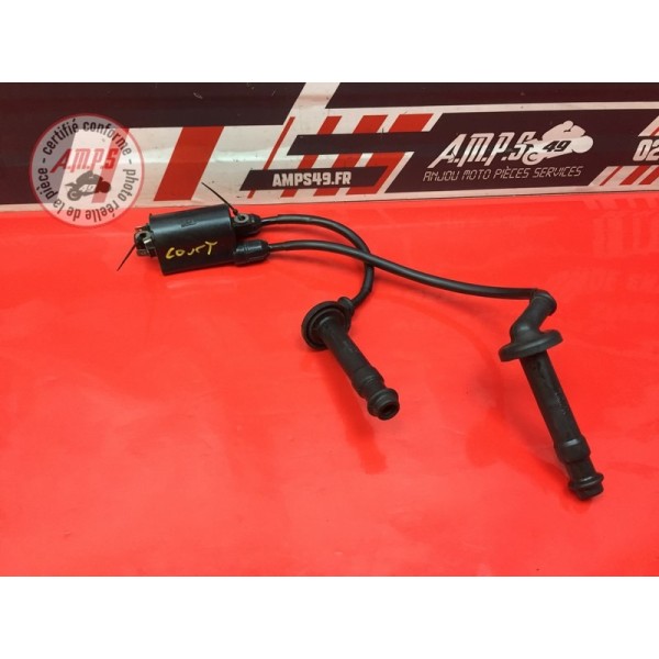 Bobine d'allumage courte