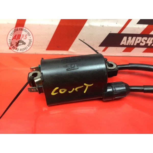 Bobine d'allumage courte 