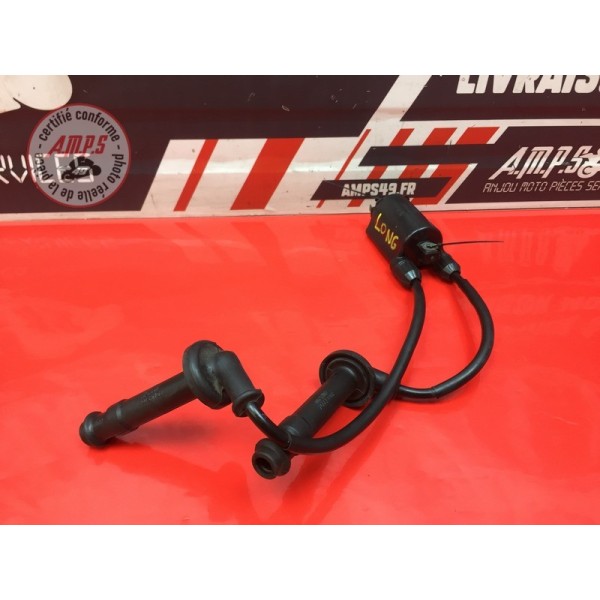 Bobine d'allumage longue 