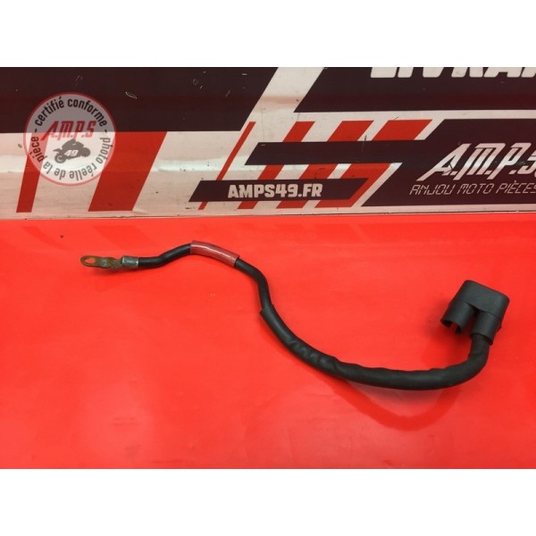 Cable de batterie 