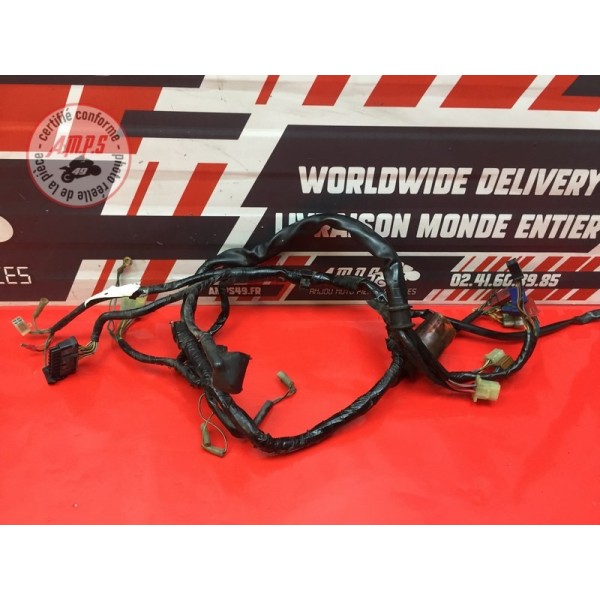 Faisceau électrique principale