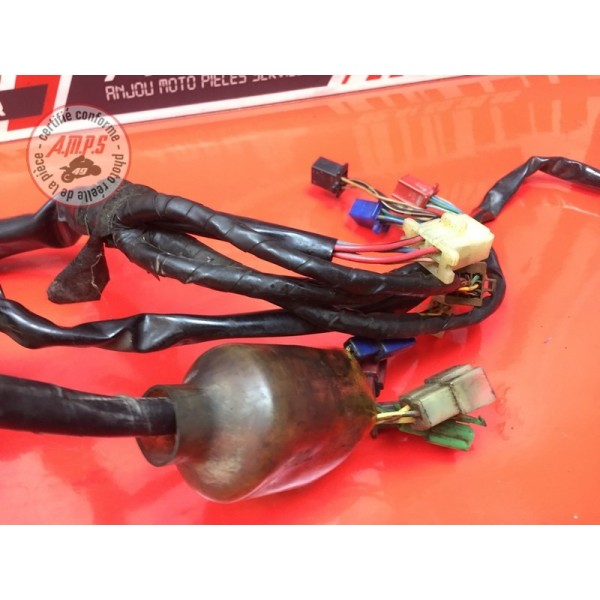 Faisceau électrique principale 