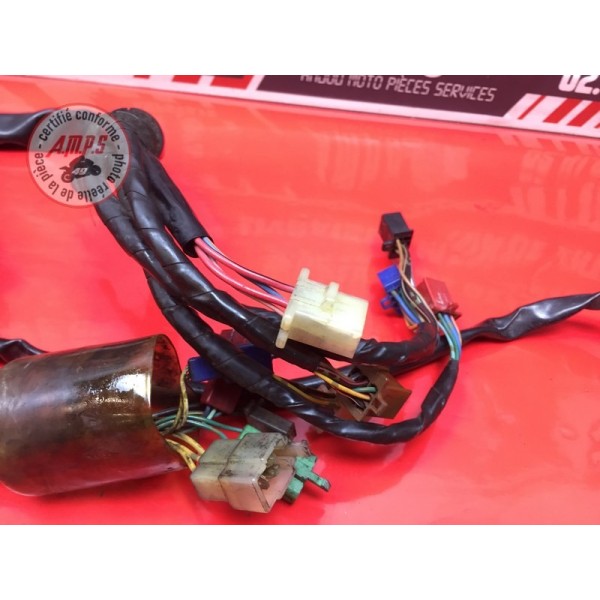 Faisceau électrique principale 