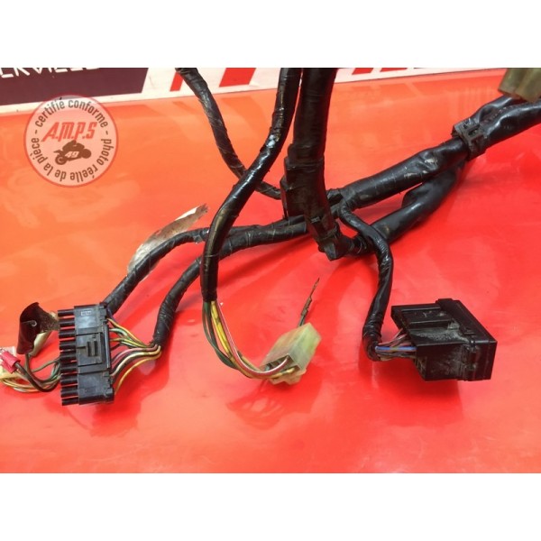 Faisceau électrique principale 