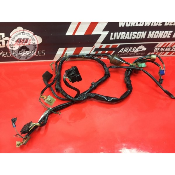 Faisceau électrique principale 