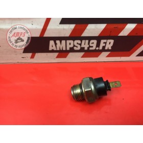 Sonde de température d'eau 