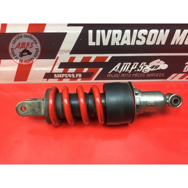 Amortisseur arrière 