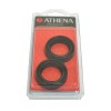 FORK SEAL RSA 33X46X11