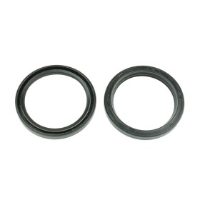 FORK SEAL RSD 48X57.8X9