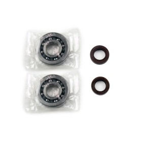 CRANKSHAFT REBUILDING KIT