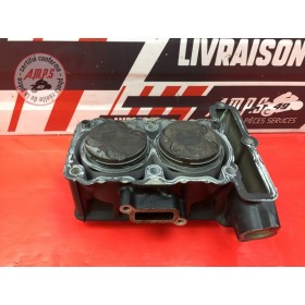 Cylindre avec pistons Kawasaki Ninja 300 R 2013 à 2015 