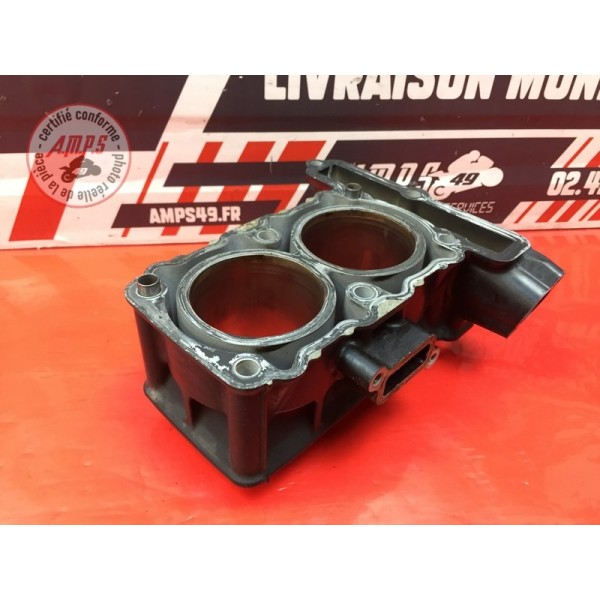Cylindre avec pistons Kawasaki Ninja 300 R 2013 à 2015 