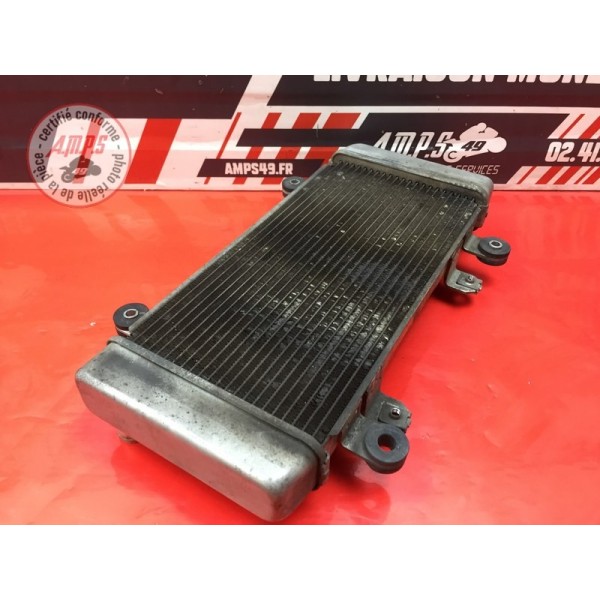 Radiateur d'eau Kawasaki Ninja 300 R 2013 à 2015 
