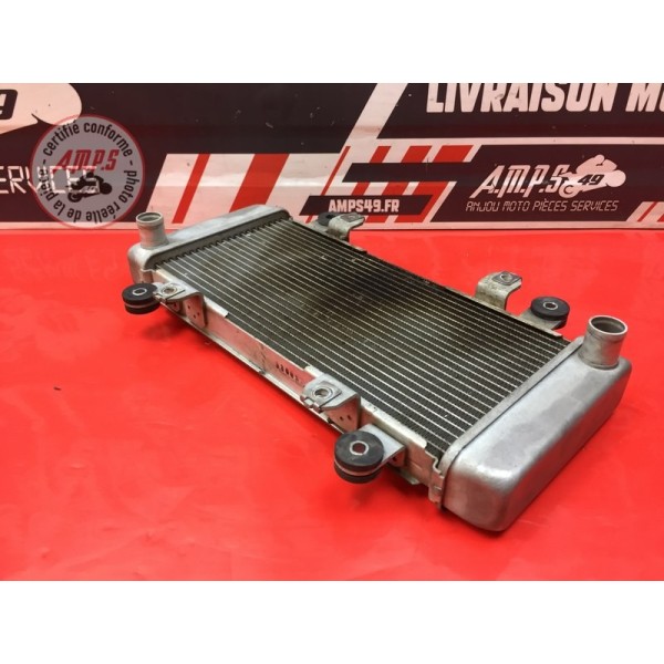 Radiateur d'eau Kawasaki Ninja 300 R 2013 à 2015 