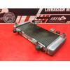 Radiateur d'eau Kawasaki Ninja 300 R 2013 à 2015 