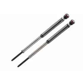 Kit cartouche de fourche BITUBO JBH -30mm Triumph Scrambler