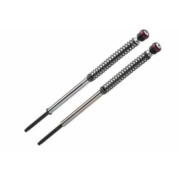 Kit cartouche de fourche BITUBO JBH -30mm Triumph Scrambler