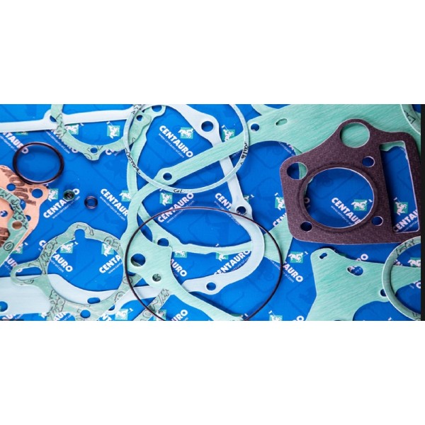 Joint de carter d\'allumage CENTAURO