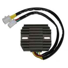 Régulateur ELECTROSPORT