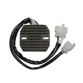 Régulateur ELECTROSPORT