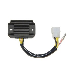 Régulateur ELECTROSPORT