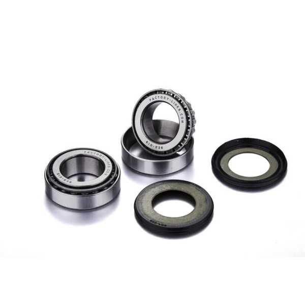 Kit de roulements FACTORY LINKS - 6006 2RS x5