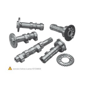 Arbre à cames HOT CAMS - Niveau 1 Suzuki RM-Z450