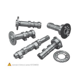 Arbre à cames HOT CAMS - Niveau 2 Kawasaki KX450F