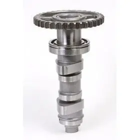 Arbre à cames HOT CAMS - Niveau 1 Honda CRF450R