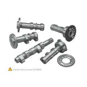 Arbre à cames HOT CAMS - Niveau 2 Kawasaki KLR 650