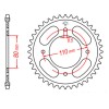 Couronne JT SPROCKETS Acier Standard - 428