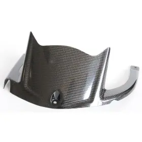 Garde boue arrière LIGHTECH carbone brillant Kawasaki Zx10R