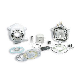 Kit cylindre MALOSSI - Ø47,6mm