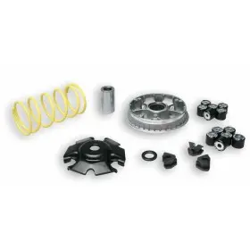 Variateur MALOSSI Multivar 2000