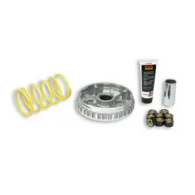 Variateur MALOSSI Multivar 2000