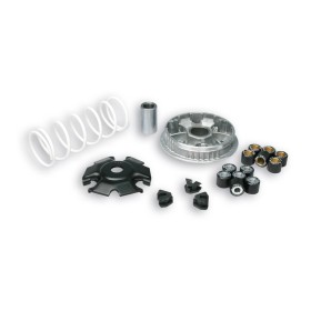 Variateur MALOSSI Multivar 2000